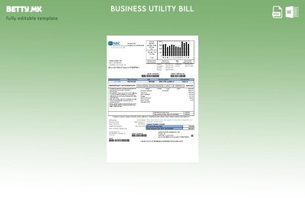 Модерен стил Santee Electric Cooperative Inc (SEC) шаблон за деловна сметка за д